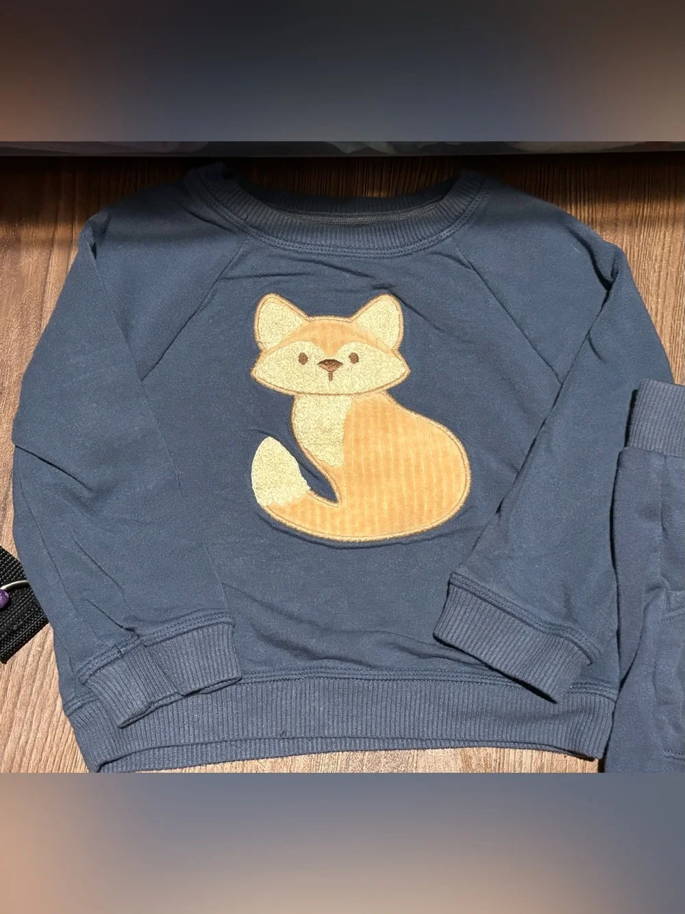🎉 (18m) Cloud Island Fox Sweatshirt + Shorts Lounge Set